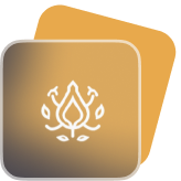 ESG and Sustainability Services